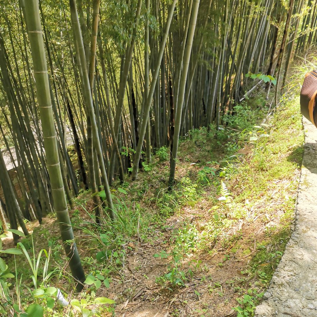 蓝天绿水