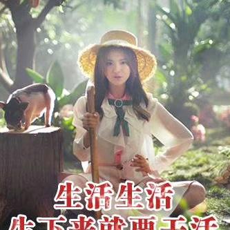 小鳄鱼