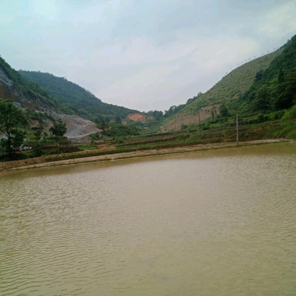 天天好運來🐂🍺李