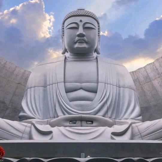 白小妹【智慧369】