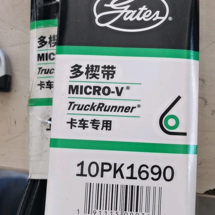 风华正茂