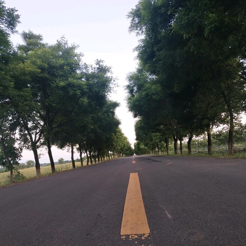 零℃
