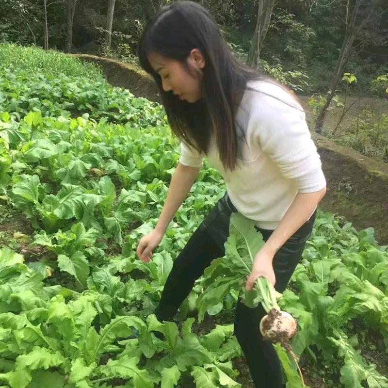 山里姑娘