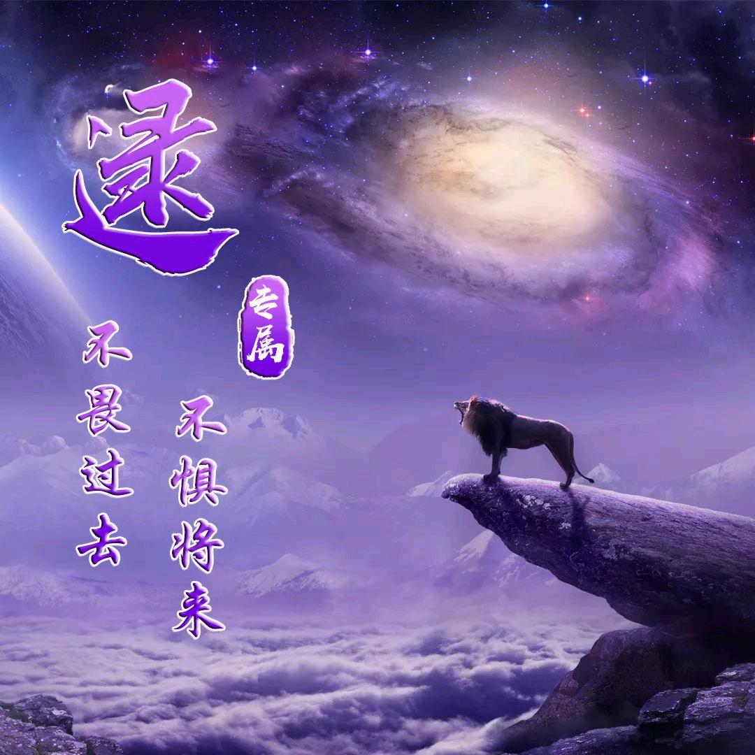 尘世漂浮