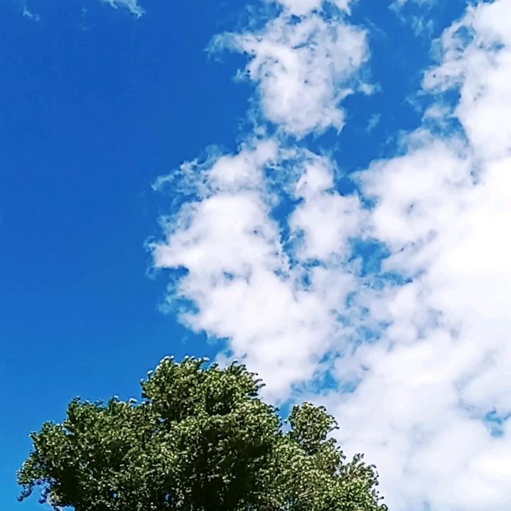 豪横