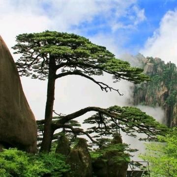 黄山发布