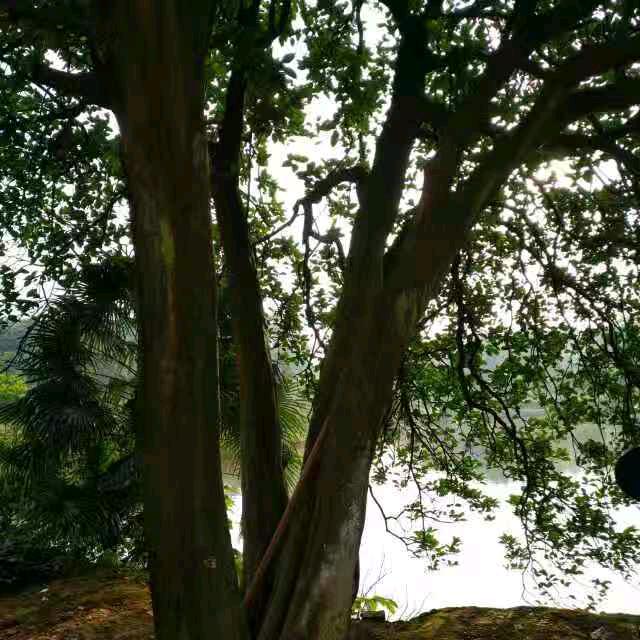 漂亮宝贝孕婴生活馆。