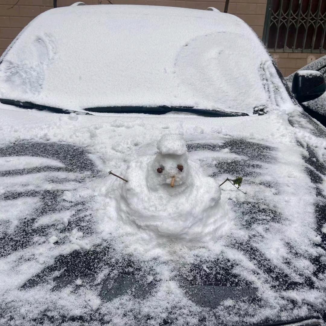 林先生c