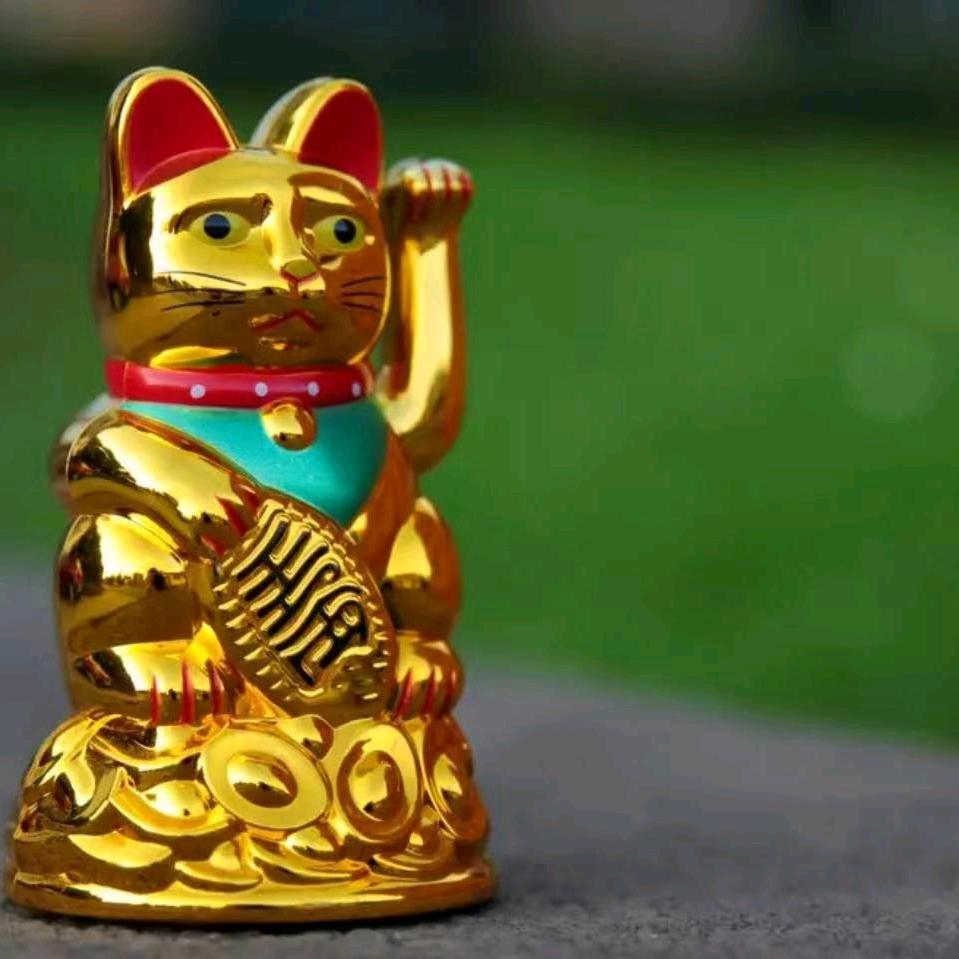 琼琼