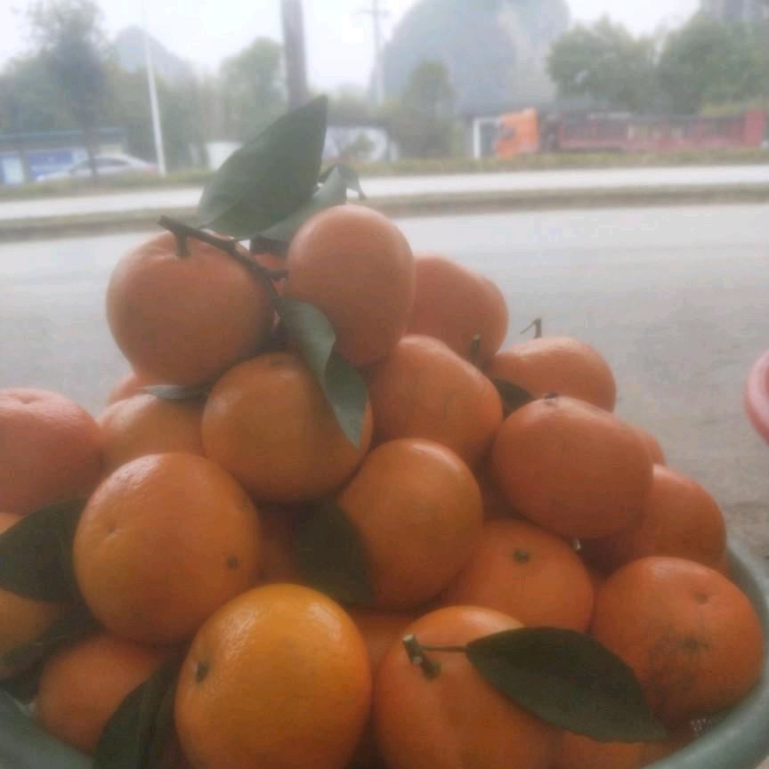 春末