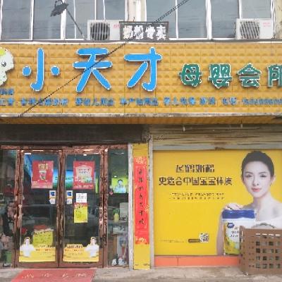 北关小天才苏苏