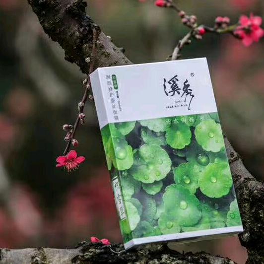 艾菲尔上的铁塔梦