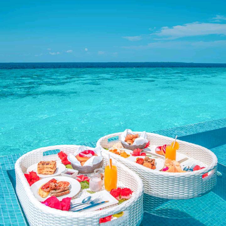 🐬魚的世界🐬