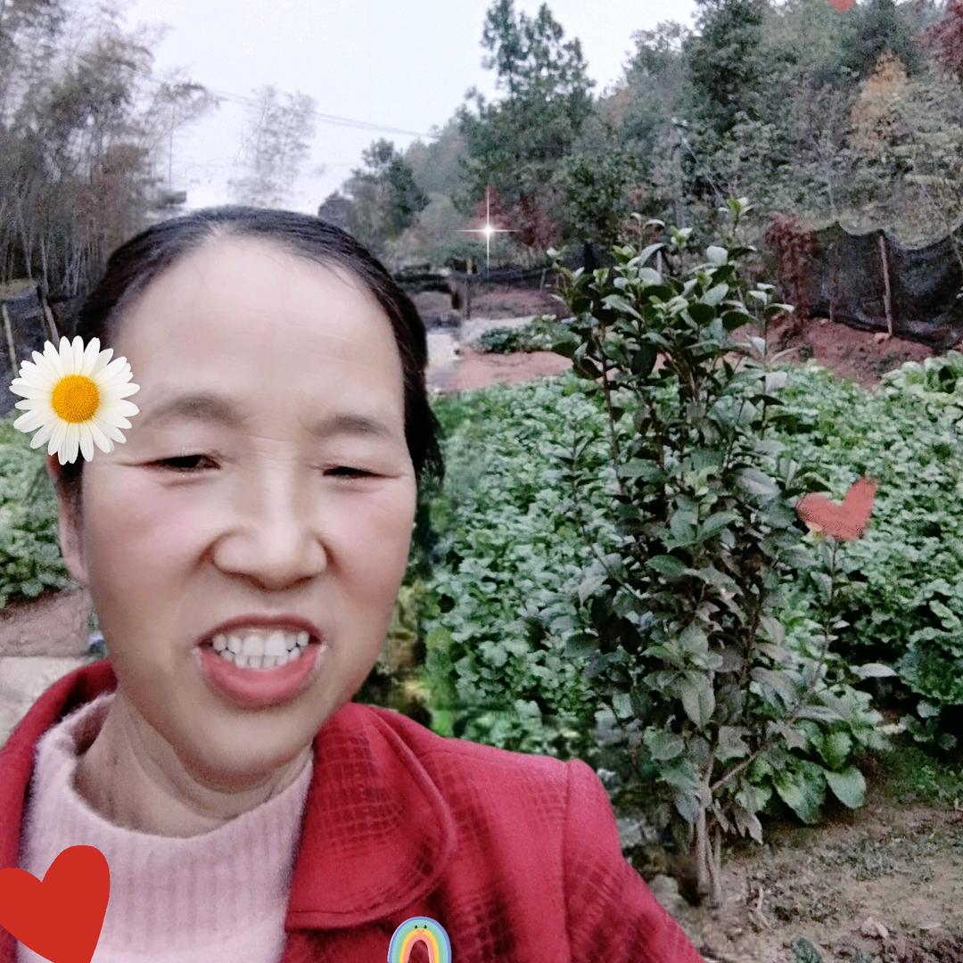 喜娥姐（每天下午5点半直播）