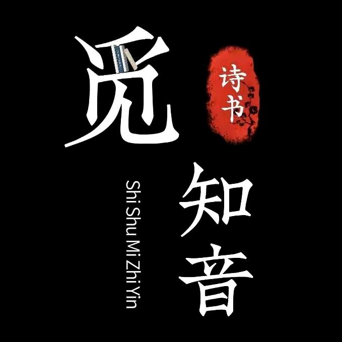 小庞玩抖音