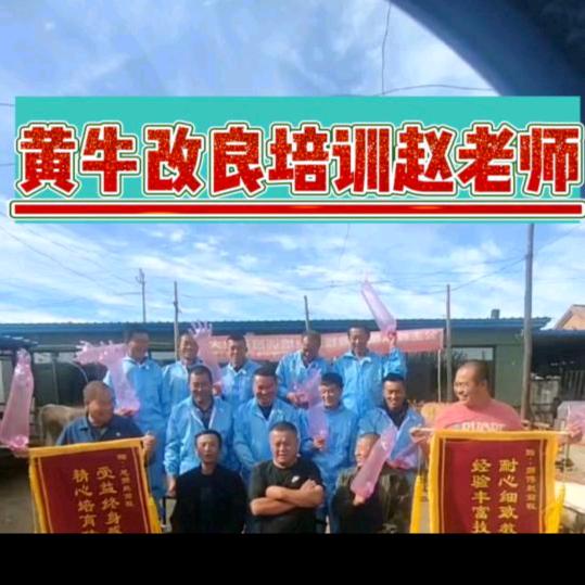 黄牛改良培训班赵老师