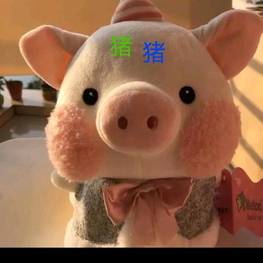 川妹子🍅🍅🍅