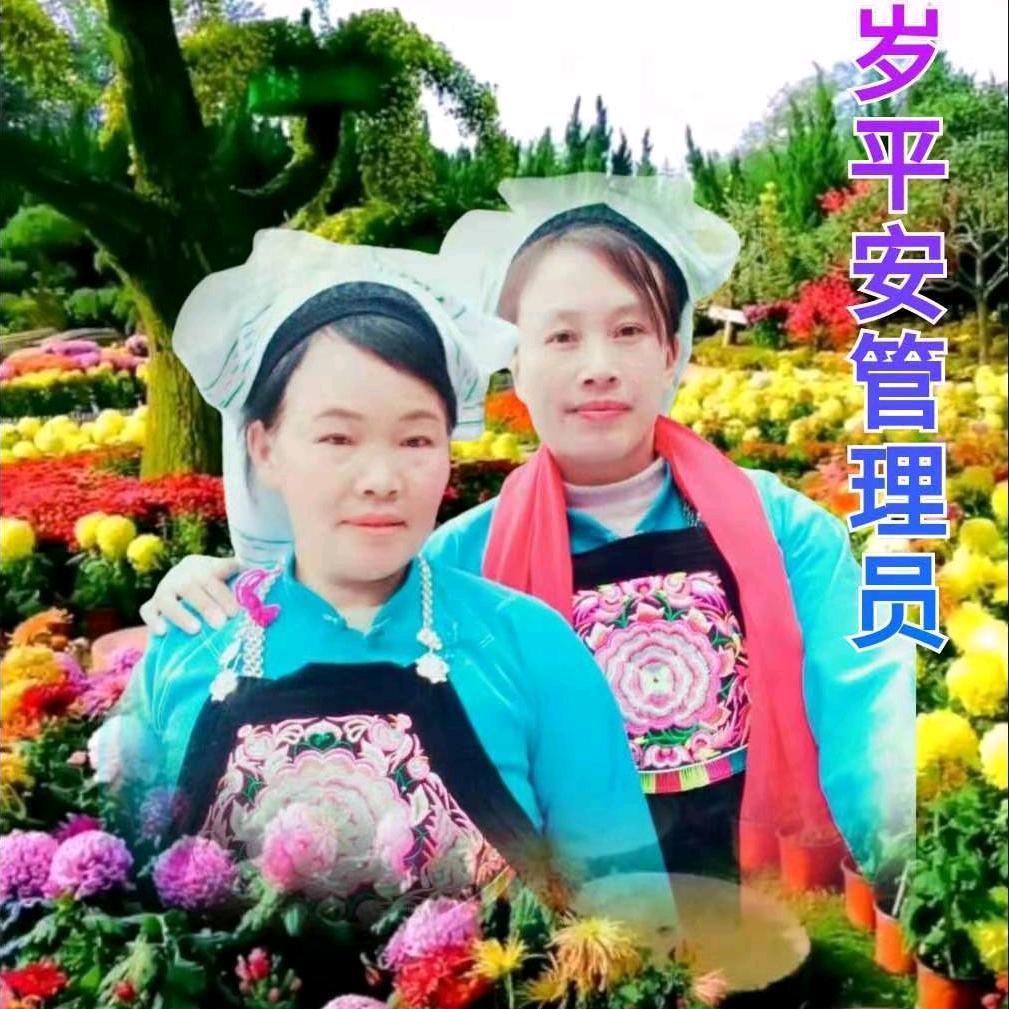 用户8320828448490