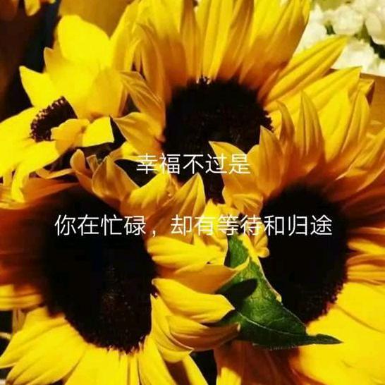 邪少正气