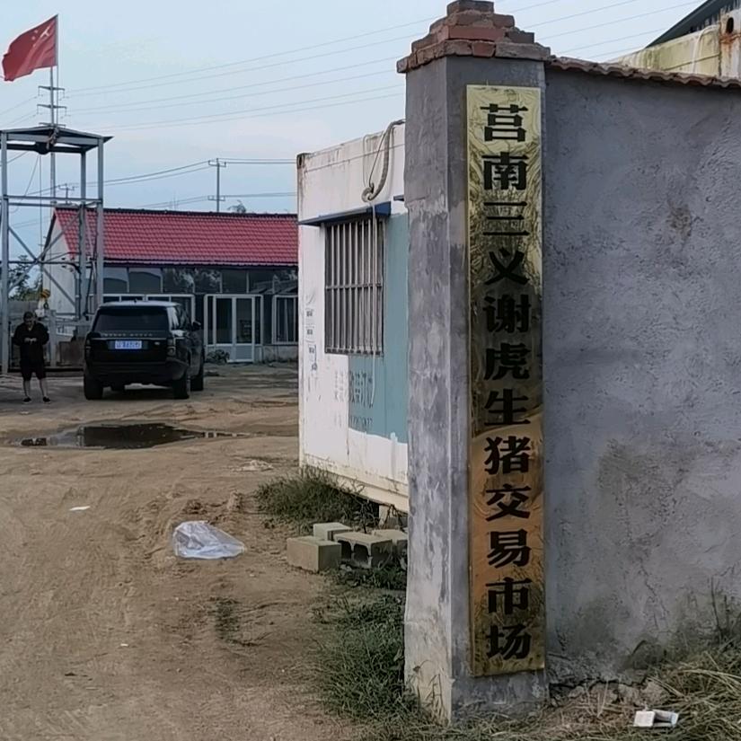 莒南三义谢虎生猪交易市场及马寨寨主