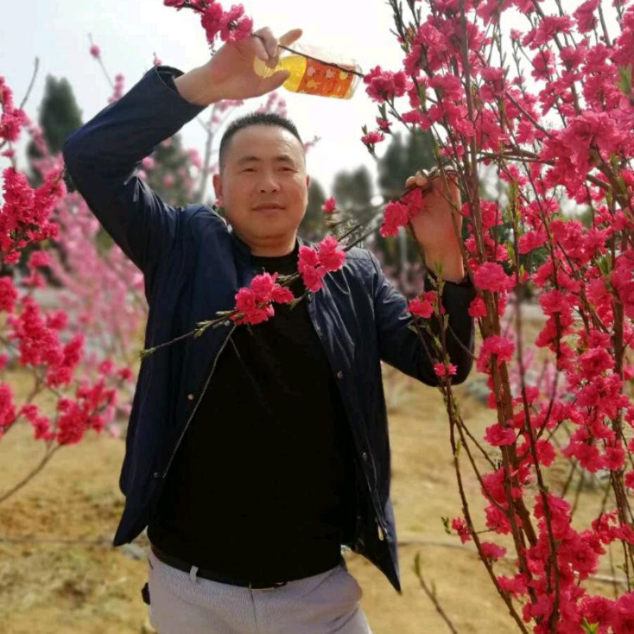 爱的苦酒🌹🌻