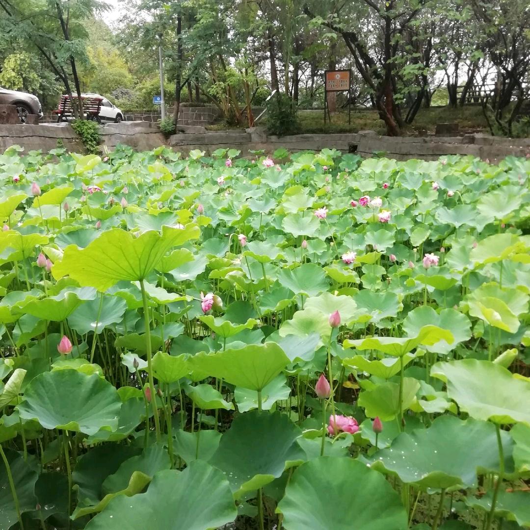 成海