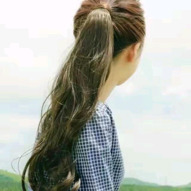森，全民5679