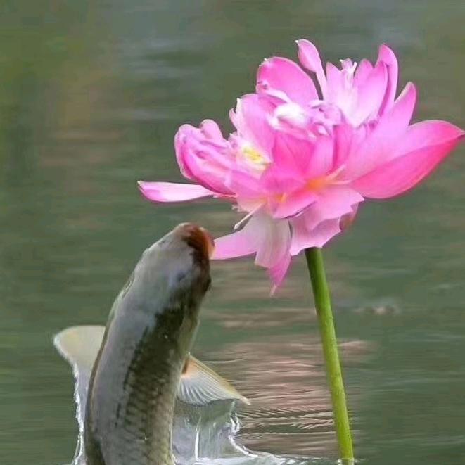一笑而过