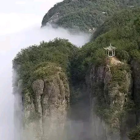 青松
