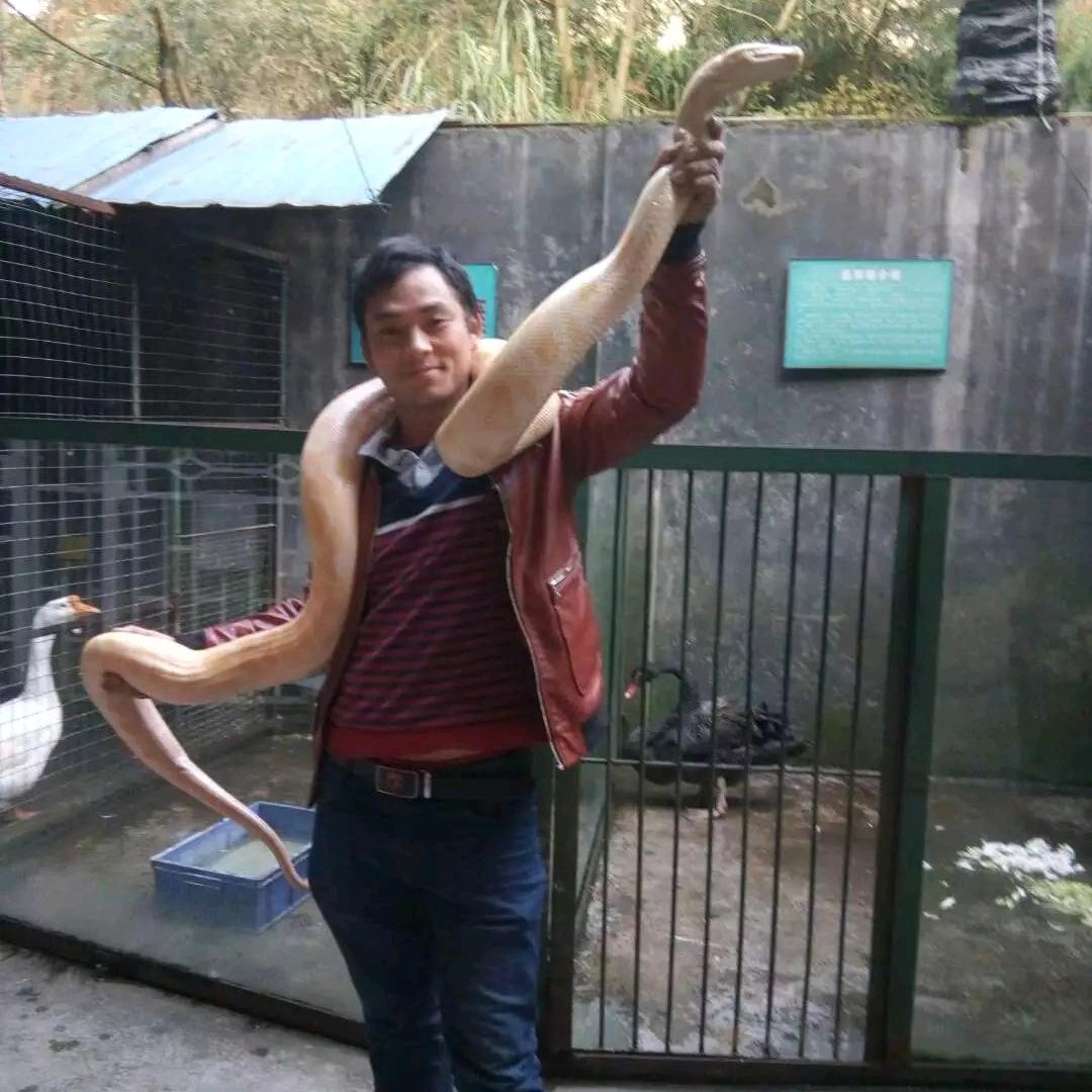 踢砖师傅，小周