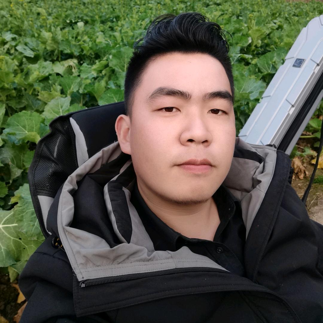 只是飞的低