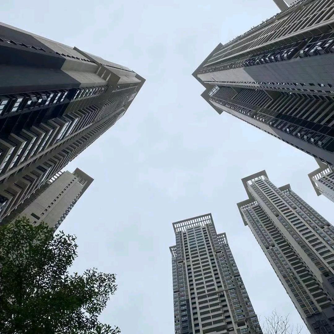 牛大力，中草药调理养生