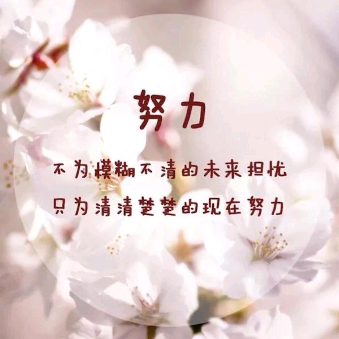 慕安依依