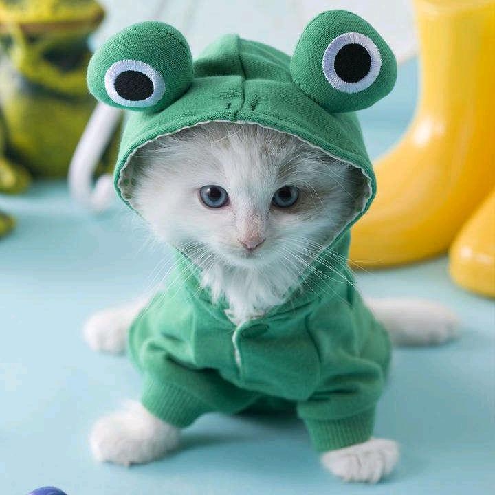 提升学历，电、焊工建筑类考证，职称评审