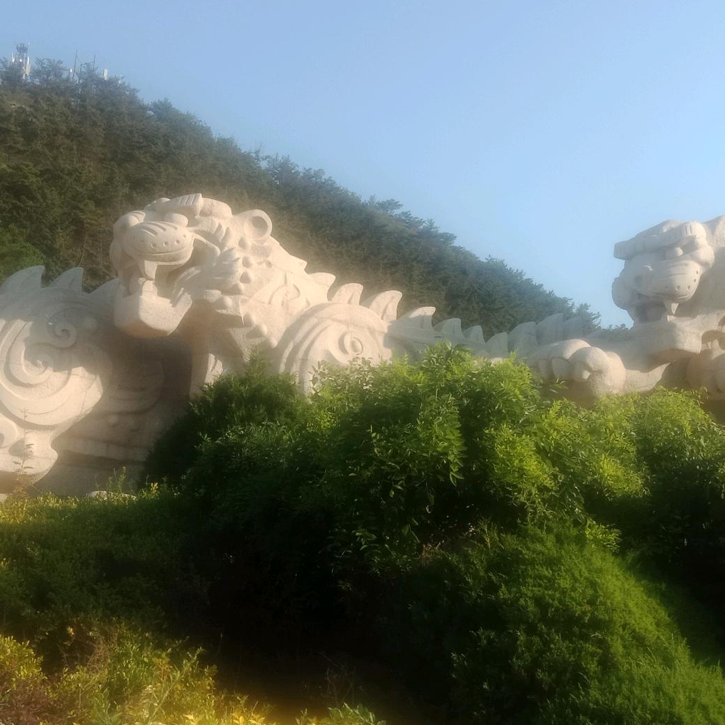 真情是缘
