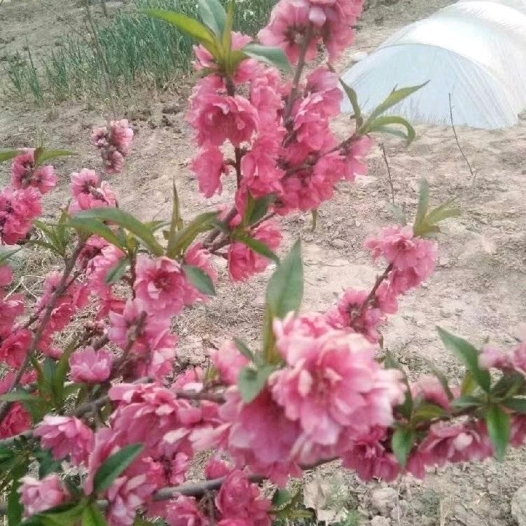 快乐每一天😀😀😀