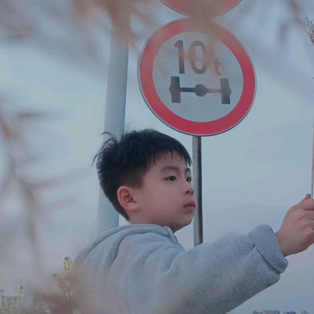 岁月静好Y