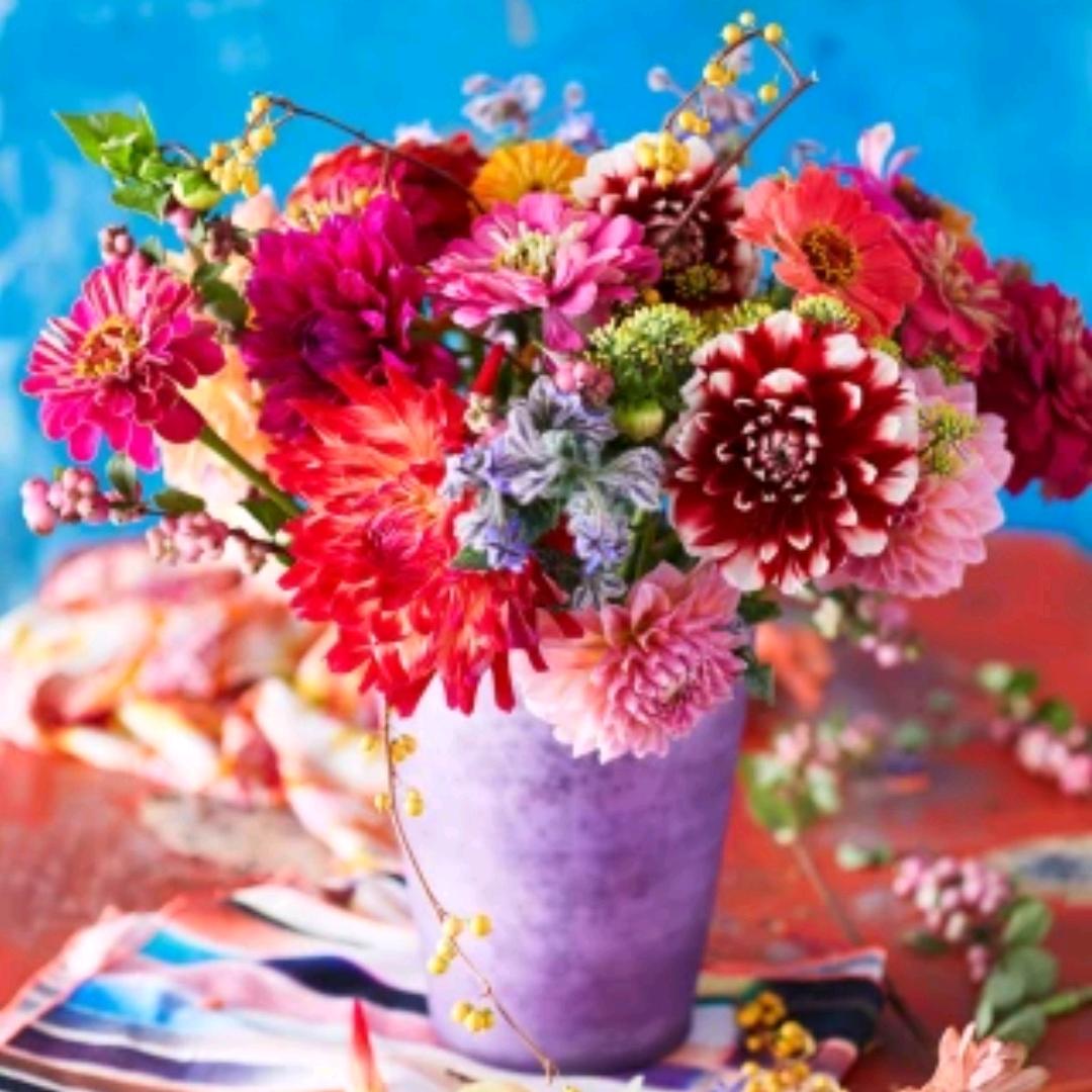 群🌳(✷‿✷)🐦