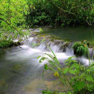 平平淡淡才是真～～～