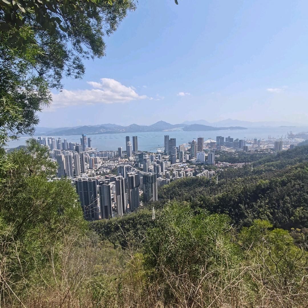 惊鸿一撇