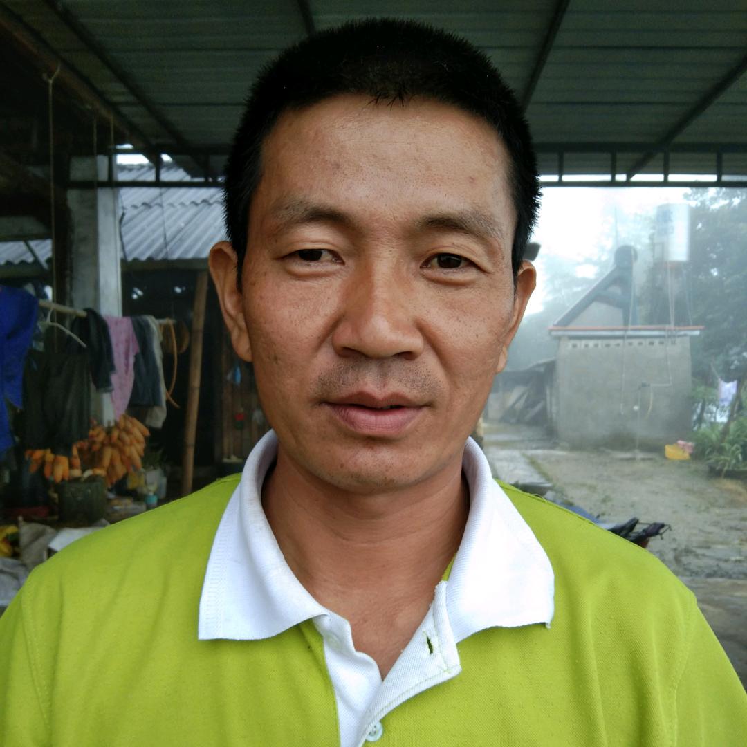 小景颇
