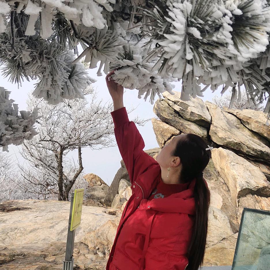 花果山小燕子