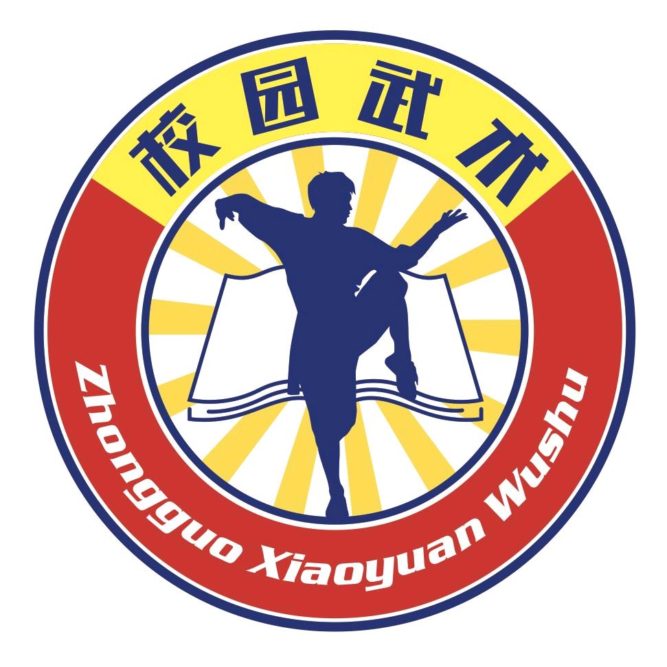 天天武术