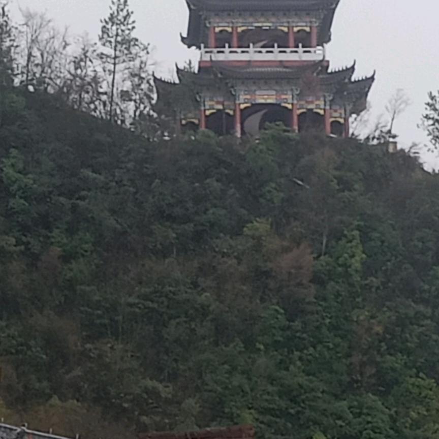 鸣明白白