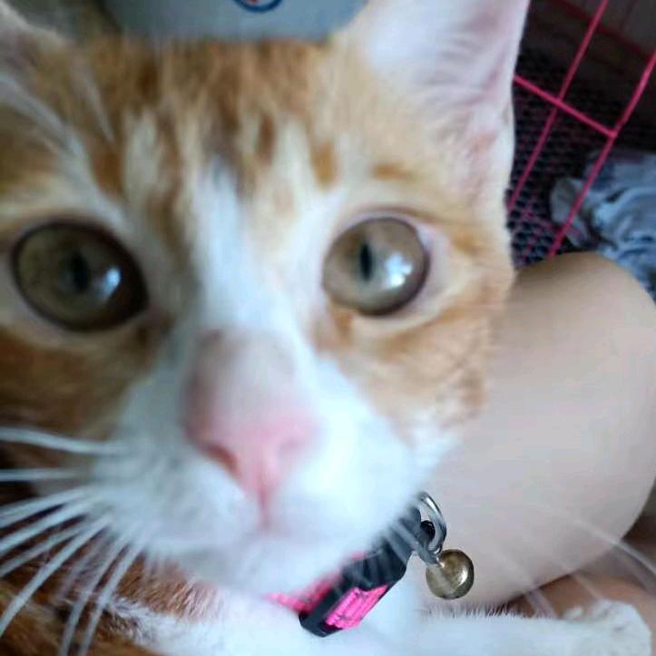 生活的一塌糊涂