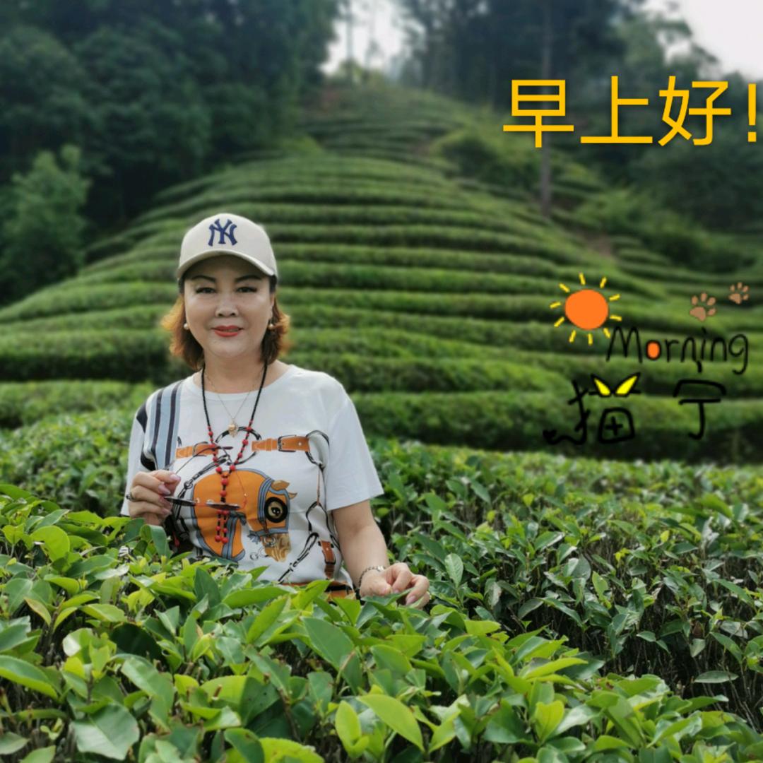 品味人生～