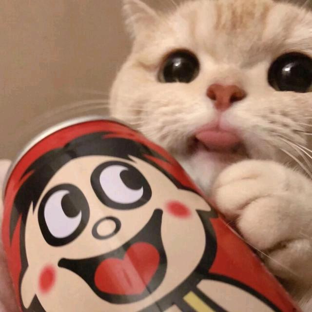 （。。）