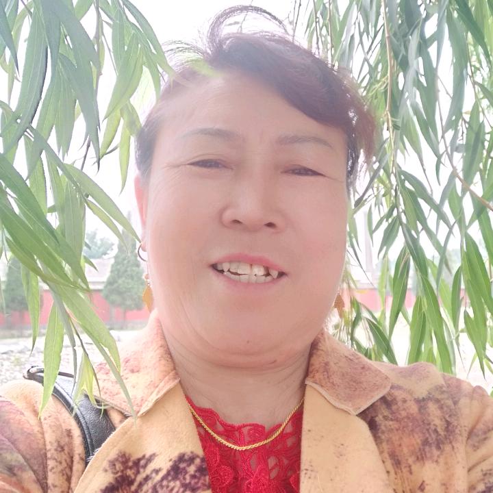 高慧芬《高占芬》