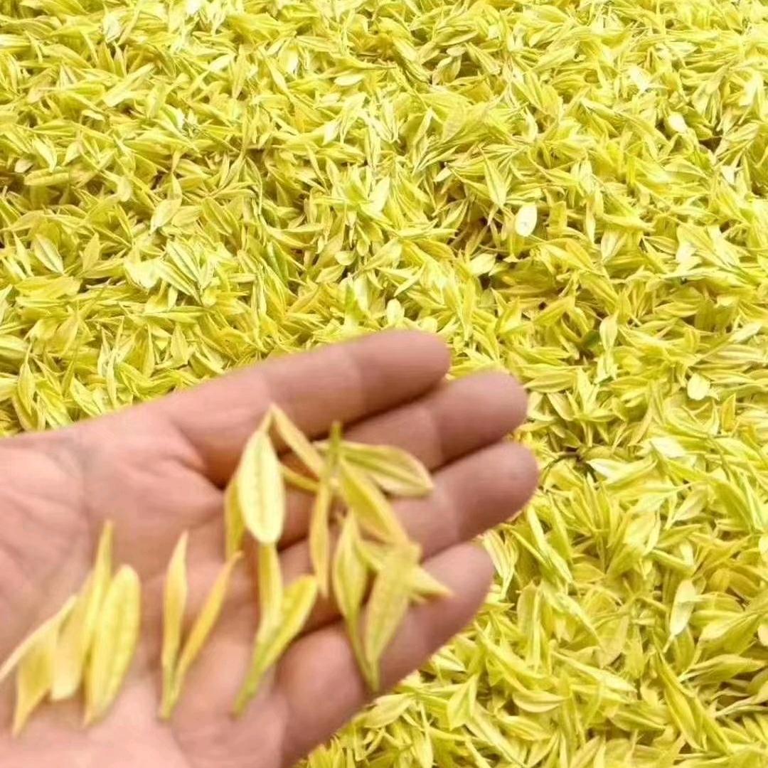 四季茶庄，兵哥