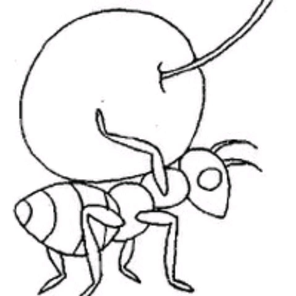 赳赳熊（蝉丝）